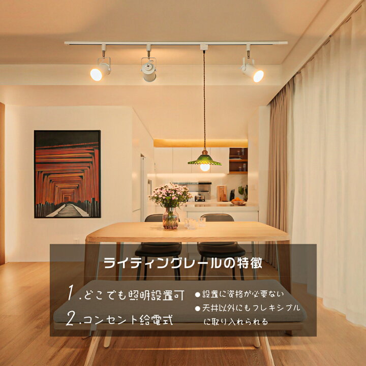 楽天市場】【P2倍+最大500円クーポン】ダクトレール コンセント 0.5m  