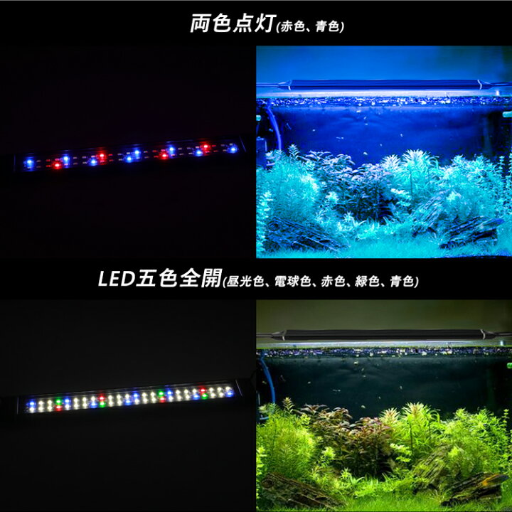 楽天市場 水槽ライト アクアリウムライト 5色ledライト 46cm 63cm対応 水槽照明 熱帯魚ライト 超明るい 超薄い 省エネ 長寿命 観賞魚飼育 水草育成 淡水 海水両用 共同照明led専門店
