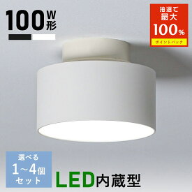 ＼抽選で最大P100％／ミニシーリングライト 小型 ダウンライト LED シーリングライト 電球色 昼白色 天井照明 内玄関 照明 引掛シーリング クローゼット 階段 廊下 玄関 洗面所 キッチン トイレ 脱衣所 LED 工事不要 取り付け簡単