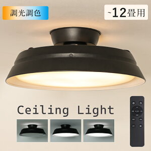 _Ԍ50%OFFiI^LED V[OCg F 5000LM 12܂ Rt  V[OCg k rOƖ _CjOƖ Lb`Ɩ ԐڏƖ CeAƖ Q