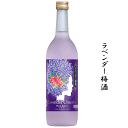 盛蔵　ラベンダー梅酒　720ml梅酒 人気