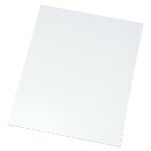 EBM �A�N���� ���N�^���M�����[ �P�[�L�v���[�g 39cm (EBM25-1)(996-7)