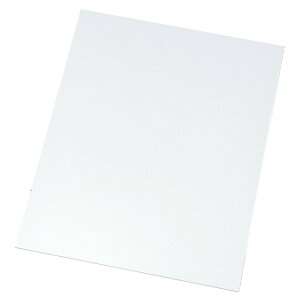 EBM �A�N���� ���N�^���M�����[ �P�[�L�v���[�g 50cm (EBM25-1)(996-7)