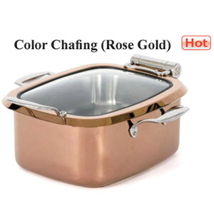 p`[tBOfBbV D-295EL ubN/[YS[h  p^ ۉ IHp XgEoCLOErbtF ۂ t[hEH[}[ iEBM)