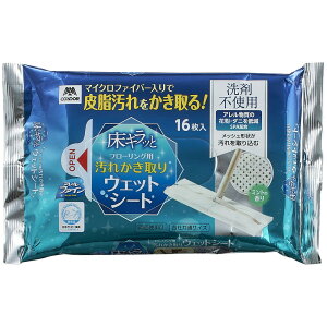 Rh Lbƃt[OpꂩEFbgV[gAF@16 (RY)