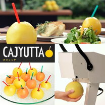 楽天市場】カジュッタ 芯抜きの通販