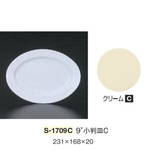 10Zbg ~ 9C`MC 231X168mm H20mm N[ [S-1709C] L[G[~ hCg쏊 Ɩp E5