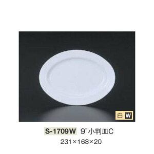 10Zbg ~ 9C`MC 231X168mm H20mm  [S-1709W] L[G[~ hCg쏊 Ɩp E5
