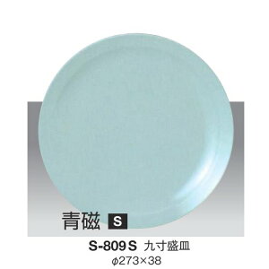 10Zbg ~ 㐡M a273mm H38mm  [S-809S] L[G[~ hCg쏊 Ɩp E5