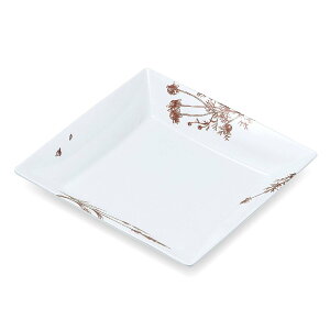 ~ Ag pM uE (200×200×H34mmE650ml) [M-171ALBR] X[CƖp H ɂ v vX`bN  pM ` 20cmpM [M ؎M pX^ _ Vv GX