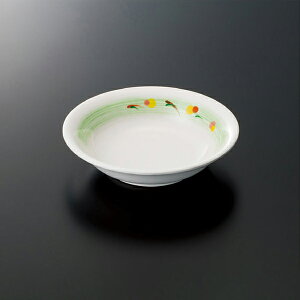 ~  13cm[M (130×H30mmE180ml) [DP-116KM] X[CƖp H ɂ v vX`bN  ێM ۏM M M 蕪M n W a