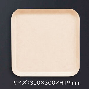 ݌ɌpՁFRP pgC (300×300×H19mm) AC{[ XgOgC[STL-3000I]X[C Ɩp g[ gC ~ H zV n 30cm ` vXX`bN v n  Vv