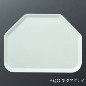 FRP ZpgC 450X340mm H20mm NEWXgOgC[ST-3445] X[C Ɩp g[ gC zV ~ Hg[ Zp` ȃXy[X