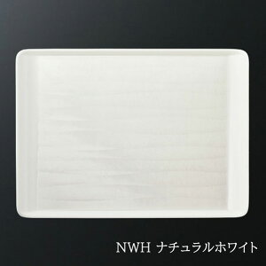 FRP pfUCg[ 410X300mm H24mm NEWXgOgC[STY-3041] X[C Ɩp g[ gC zV ~ Hg[ ` 41cm × 30cm