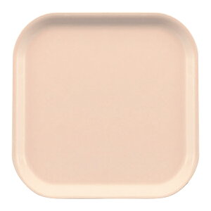 FRP pgC 300X300mm H19mm NEWXgOgC[STL3000F] X[C Ɩp g[ gC zV ~ Hg[ ` 30cmp