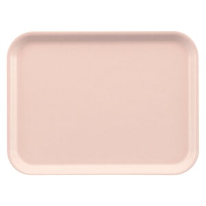 FRP pgC 410X300mm H20mm NEWXgOgC[STL3041F] X[C Ɩp g[ gC zV ~ Hg[ ` 41cm × 30cm