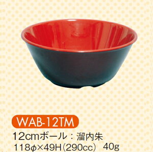 ϔM 12cm{[  (118×49mmE290cc) LbYCg(H)mWAB-12TMn Ɩp vX`bN ۈ牀Ect qpH
