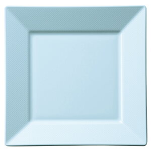 ~ 21cm`FbNXNGA 212X212mm H24mm F XNGAV[Y [NS-21-SK] a Ɩp pM mM v[g fU[g P[L  蕪