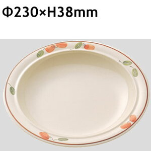  Daiwa|vX`bNH|~|ƖpH|ЈH|wH|HX 10Zbg/10ȏ[ X[vM@(230×H38mm)@(a)[CL-5-RK]