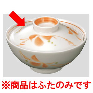 Daiwa|H|aH|ƖpH|HX|JtF|{ 10Zbg/10ȏ[ ʒqiWj@Ԃ(110×H28mm)@(a)[HC-213C-FS]