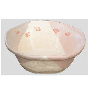  Daiwa|H|aH|ƖpH|HX|JtF|{ 10Zbg/10ȏ[ zڏ@т(113×113×H40mm)@(a)[HC-434-SKB]