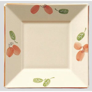 Daiwa|vX`bNH|~|ƖpH|ЈH|wH|HX 10Zbg/10ȏ[ XNEFAME@(150×150×H22.5mm)@(a)[SS-3-RK]