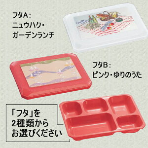 y10Zbg/10ȏ[z thHe@sN(232×172×H46mm)t^̎ނIт@(a)[No.500]Daiwa|ٓ|ze|Ɩp|vX`bN|do|