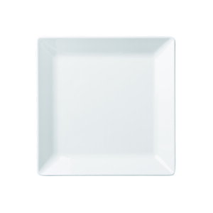 ~ 25cmpM (250×187×H54mm) Ntg[ML1-1-3]@ HXErbtFȂǂɍœK vȃvX`bN@Ɩp~H