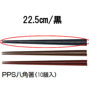  Ɩp 22.5cm PPS PPSp@(10V)@22.5cm@@90030270 (1-1860-2003)