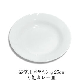 メラミン製 ザ・カレー皿 直径250mm H35mm 白[P708-10] 業務用 メラミン食器 食洗機対応 プラスチック 樹脂 皿 肉厚 コーティング有り 着色しにくい 万能カレー皿 メインプレート マルチプレート ディナープレート 深皿 パスタ皿 丸皿 24cm 25cm