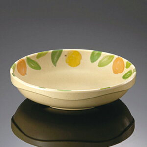 ~ EF[u[ME a149mm H36mm 390cc GEԗ ԗ[CN-797-e] }l/ݔN Ɩp ~H ۔ [M ې[M [M ؎M a@ { J[j[ɂ