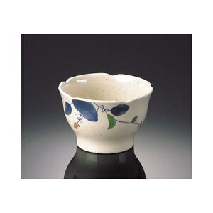 ~ ΏĂ͂ ۏ (104×66mmE270cc) }l/ݔN[HI-7908] Ɩp vX`bN ~  aH  ۏ [  ΂傱