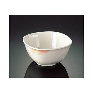 ~ }G @ (109×109×53mmE210cc) }l/ݔN[MR-2013] Ɩp vX`bN ~  aH p ۏ p