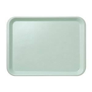 FRP NEWpgC(LL) 440X330mm H20mm F.R.PgC [FM-1LL] }l/ݔN Ɩp g[ ~ zV~ H 44cm 44×33cm  vX`bN v ɂ