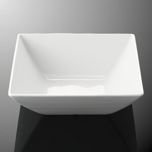 ~ 28cmp{[ 281X281mm H95mm 4000cc zCgC {[Ev[g [E234IWC] }PC Ɩp H@Ή ɂ v Ɩp vX`bN  H D8