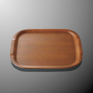 ϔMABS I[oNOSg[E (360×270×H19mm) CgI[N [NA5LOK] }PC Ɩp H@Ή mXbv ɂ ؖڃEbhgC