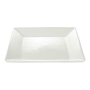 ~ 25cm@pM 253X253mm H27mm AC{[zCgEC NX^[E109IWC] }PC Ɩp H@Ή ɂ v Ɩp vX`bN  H M D8