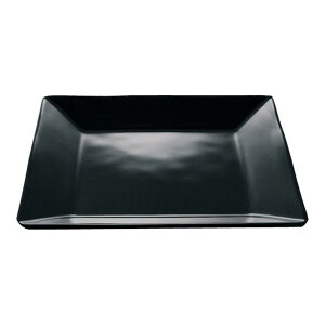 ~ 22cm@pM 220X220mm H26mm EC NX^[E111BKC] }PC Ɩp H@Ή ɂ v Ɩp vX`bN  H M D8