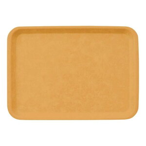 FRP 43cm pg[  432X310mm H20mm x[W FBg[[N22BE] }PC Ɩp ` gC ~ ~ ڂ Ɩp vX`bN  ϔM  Vv D8