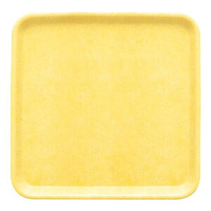 FRP 31cm pg[ 310X310mm H19mm pC FBg[[N25PN] }PC Ɩp ` gC ~ ~ ڂ Ɩp vX`bN  ϔM Vv D8