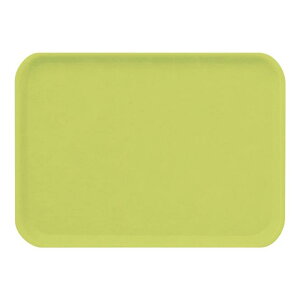 FRP 41cm pg[  412X301mm H20mm  FBg[[N32LG] }PC Ɩp ` gC ~ ~ ڂ Ɩp vX`bN  ϔM  Vv D8