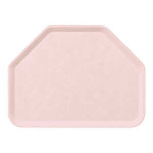 FRP Zpg[ 455X340mm H20mm sN FBg[[N36PK] }PC Ɩp Zp` 6p` gC ~ ~ ڂ Ɩp vX`bN  ϔM  Vv D8