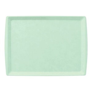 FRP 46cm AOg[ 455X329mm H19mm O[ FBg[[N61GN] }PC Ɩp ` gC ~ ~ ڂ Ɩp vX`bN  ϔM  Vv D8