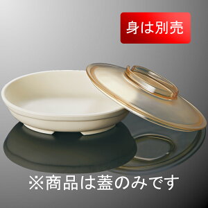 PPC [M  W(i͂ӂ̂) 170X130mm H31mm Ao[ q[gT[unCubh[DS8CAMB] }PC DS8AMB-C Ɩp X`R MĉMJ[g ①@\tĉM@Ή }CNg