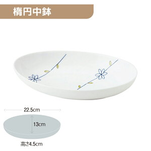 ��5�Z�b�g���y�ʋ������� �ȉ~���� 225X130mm H45mm 570cc ���C���t�����[(��) [818-MNDT] ������̃L���`�B �Ɩ��p �ȉ~�M �[�M �I�[�o�� �n�[�t�J���[ �p�X�^ �����₷�� ���� �H�� ��v �y�ʐH�� �H