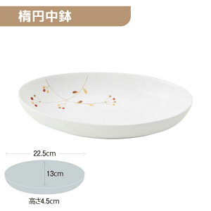 ��5�Z�b�g���y�ʋ������� �ȉ~���� 225X130mm H45mm 570cc ���̎�(��) [8B3-MNDT] ������̃L���`�B �Ɩ��p �ȉ~�M �[�M �I�[�o�� �n�[�t�J���[ �p�X�^ �����₷�� ���� �H�� ��v �y�ʐH�� �H��@OK okar