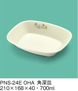 PEN HH E-G|J Ԕ p[M (210×168×40mmE700cc) OMHmPNS-24EOHAn Ɩp ۈ牀EwZ ǂp q qǂ SS Ȃ FȂ H y
