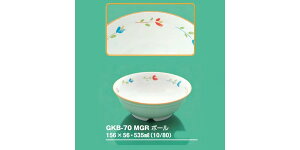 ySSǂz2ZbgwZHpqH [OX(uC) {[ (156×56mmE535cc) OMHmGKB-70MGRn Ɩp ۈ牀EwZ