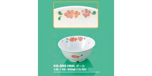 ySSǂz2ZbgwZHpqH ق̂(Lc) {[ (146×66mmE600cc) OMHmKB-899HNKn Ɩp ۈ牀EwZ qpH