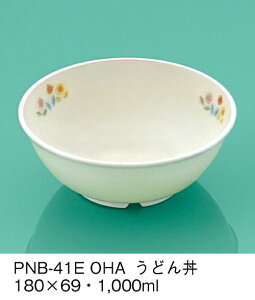 PEN HH E-G|J Ԕ ǂ (180×69mmE1000cc) OMHmPNB-41EOHAn Ɩp ۈ牀EwZ ǂp q qǂ SS Ȃ FȂ H y